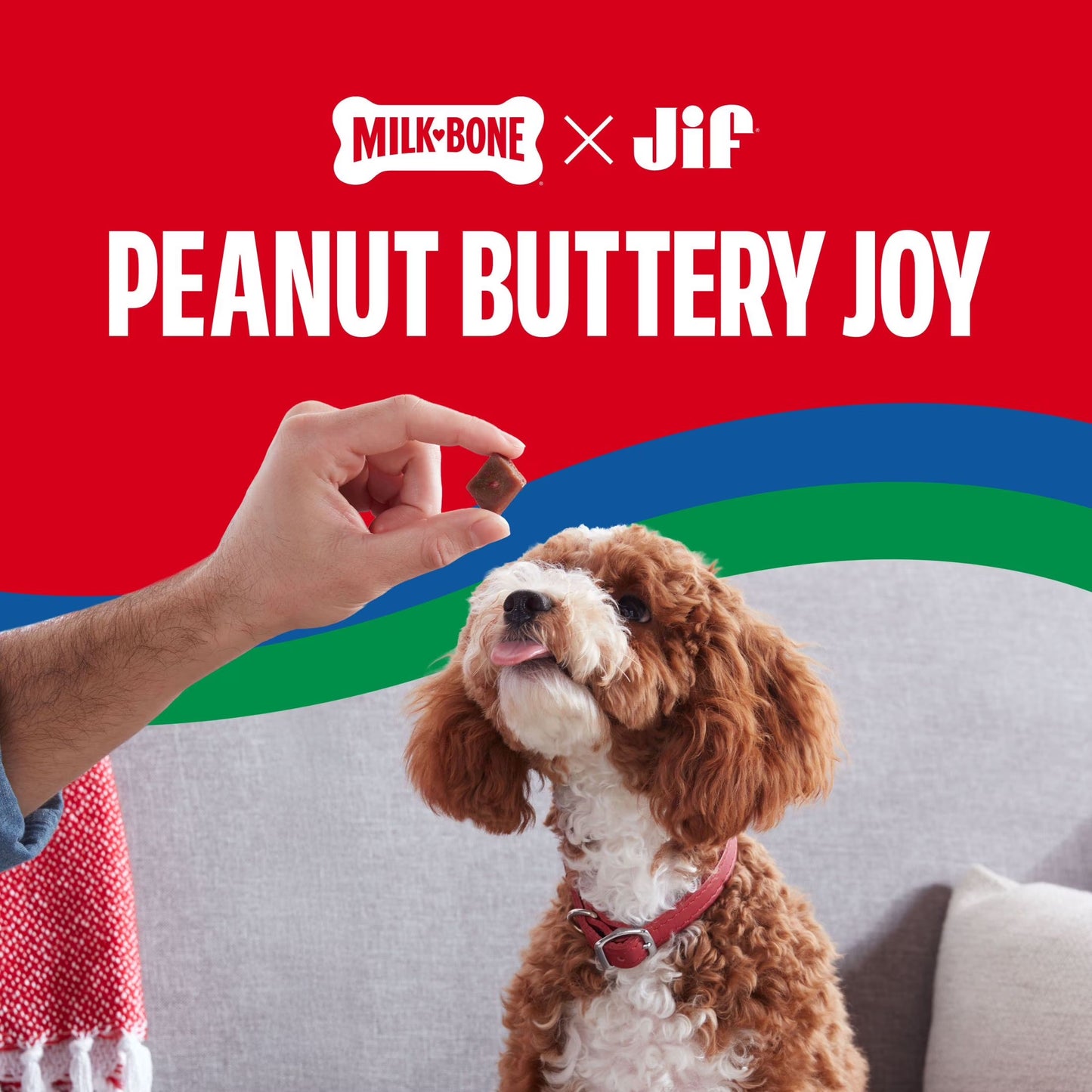 Milk Bone Peanut Buttery Bites, Soft Dog Treats with Jif Peanut Butter & Real Bacon, 4.5 Ounce Bag